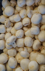 A close-up view of fresh white button mushrooms, arranged in a container