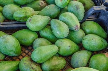 A close-up of green avocados piled high in a basket at a market