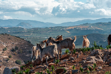 Cloudy landscape in the mountains of Greece on the island of Crete.