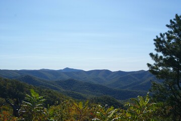 Obraz premium Blue Ridge Mountain Cove