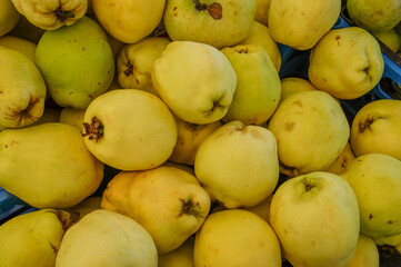 A close-up view of a pile of ripe, yellow quince fruit