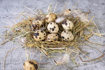 Fresh quail eggs. Rustic style 