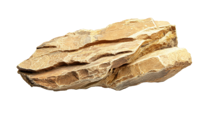 Close-up of a textured sedimentary rock specimen with layered formations, isolated on a white background, showcasing natural geological details.