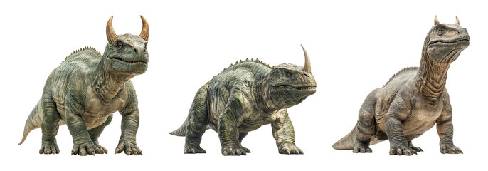 Fototapeta premium Dinosaur Creature Isolated on Transparent Background