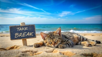 A tabby cat naps peacefully on a sandy beach with a sign that reads "take break".