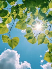 Serene Sunlight Filtering Through Lush Leaves
