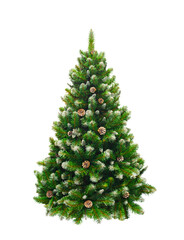 A Christmas tree with pinecones on it. The tree is green and has a lot of pinecones on it