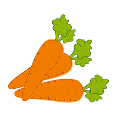 Plantilla zanahorias vectorial 2500x 2500. JPG y PNG. Vector de zanahorias. Diseño de zanahorias 