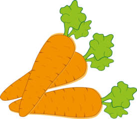 Plantilla zanahorias vectorial 2500x 2500. JPG y PNG. Vector de zanahorias. Diseño de zanahorias 