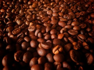 Roasted Robusta Arabica coffee beans ready to be ground.