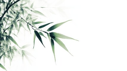 Obraz premium A serene image featuring bamboo leaves against a minimalist white background.