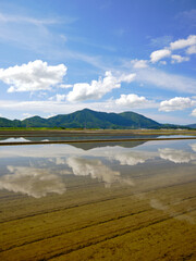 Flooded rice fields and mountains before rice planting