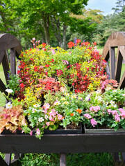 A cart full of colorful flowers