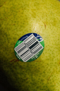 sticker on green D'Anjou pear from CMI Orchards