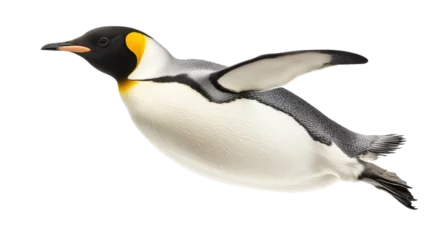 Fototapete Rund happy penguin jumping, isolated, transparent, png background © Barbara Taylor