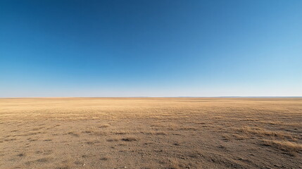 Naklejka premium Endless Horizons of Desert Roads and Open Skies