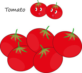 Plantilla Tomates vectorial 2500x 2500. JPG y PNG. Vector de Tomates. Diseño, dibujo de tomates 