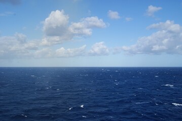 Wow blue