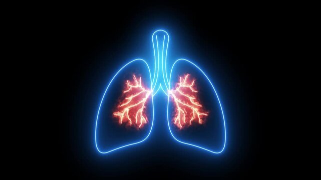 animated neon lungs respiratory organs healthy and unhealthy human body smoker healthy smoker lungs 4k looping