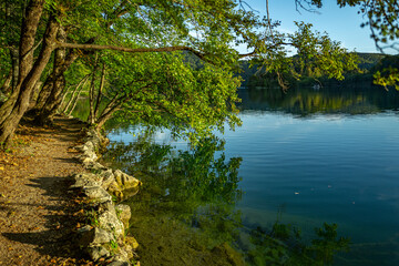Calm lake reflection with green foliage. The tranquil transparent waters of lake in the background. Nature. Landscape Reflection off of a clear lake water. Summer natural landscape with a lake.