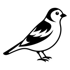 illustration of a bird