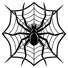 Obraz premium spider on web