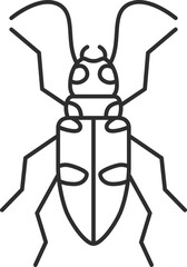 線画ミニ昆虫の単品アイコン　 ミイデラゴミムシ