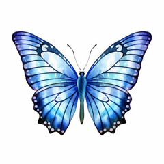 Fototapeta premium Beautiful Blue Butterfly Illustration with Exquisite Wing Patterns, Ideal for Nature and Wildlife Themes