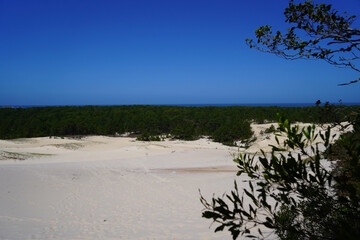Dunas na praia do Mocambique