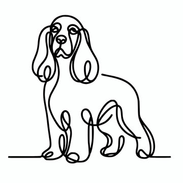 English cocker spaniel line art minimalism style vector illustration