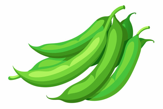 Fresh green beans on white background