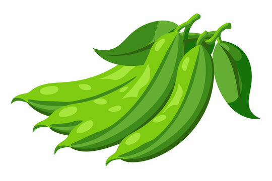 green pea pods with leaves on white clip art preview