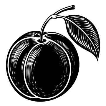 black plum with leaf clip art preview