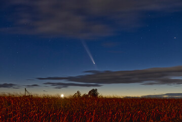 Comet Tsuchinshan-ATLAS in the night sky