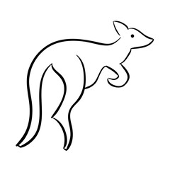 Kangaroo