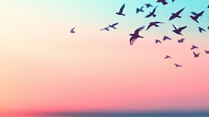 Obraz premium Silhouettes of birds flying against a colorful sunset sky.