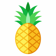 pine apple  vector illustration art