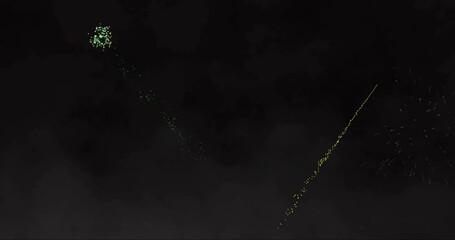 Animation of colourful fireworks on black background