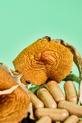 Mushrooms and microdosis