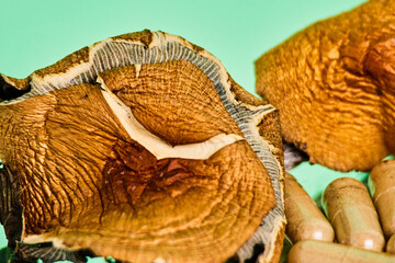 Magic mushrooms closeup