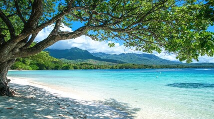 Serene Tropical Lagoon with Turquoise Water