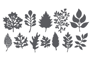 Fototapeta premium Fall Leaves, Fall Leaves vector, Paper cut Fall Leaves SVG cut file