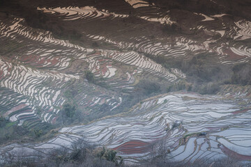 Close up on the layers of the rice terraces in Bada rice terraces area, China