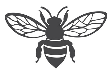 paper cut Bee SVG cut File, bee vector, bee cut file