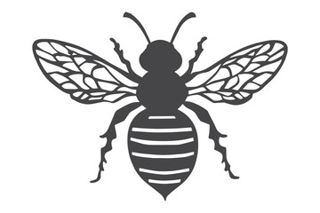 paper cut Bee SVG cut File, bee vector, bee cut file