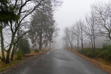 Road in the fog
