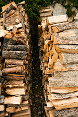 neatly stacked pile of firewood nestled in a serene wooded setting