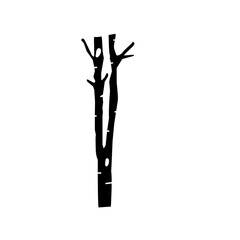 Birch Tree silhouette 