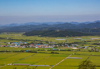 Daema-ri, Cheorwon-gun, Gangwon-do, Korea - August 14, 2019: Paddy rice fields on Cheorwon plain and a farm village