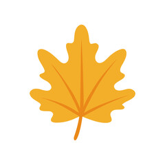 Obraz premium Autumn Leaves